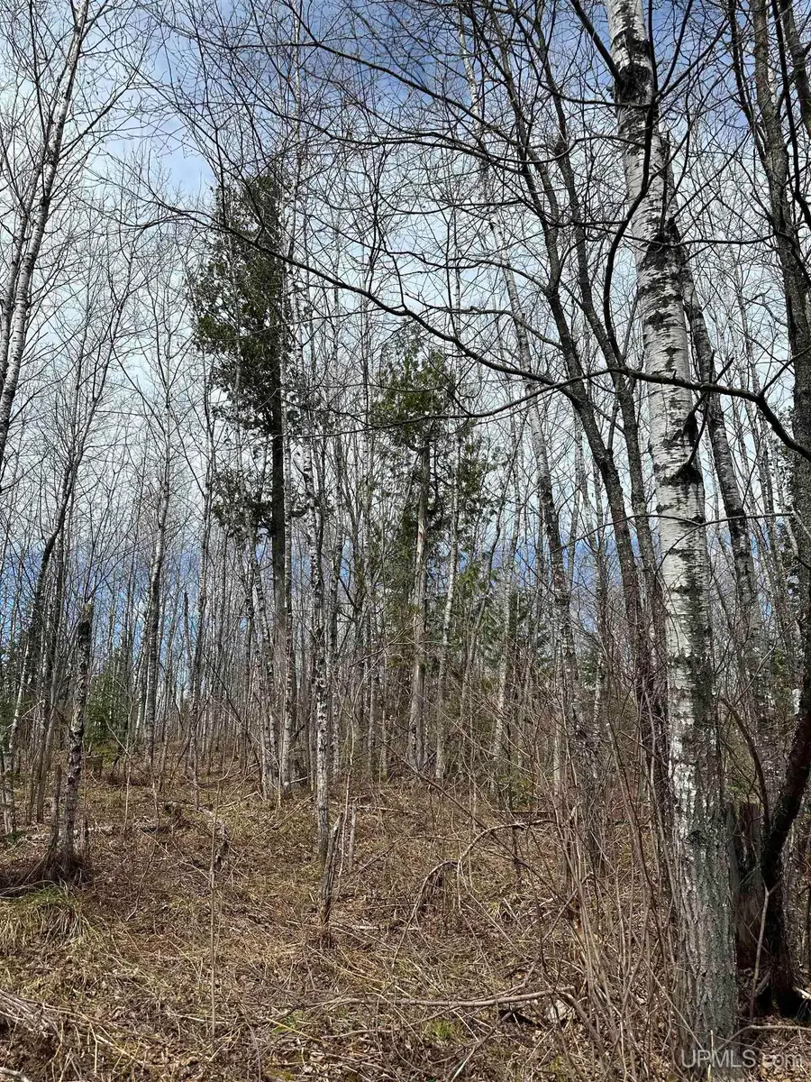 TBD Net River, Crystal Falls, MI 49920 - #2