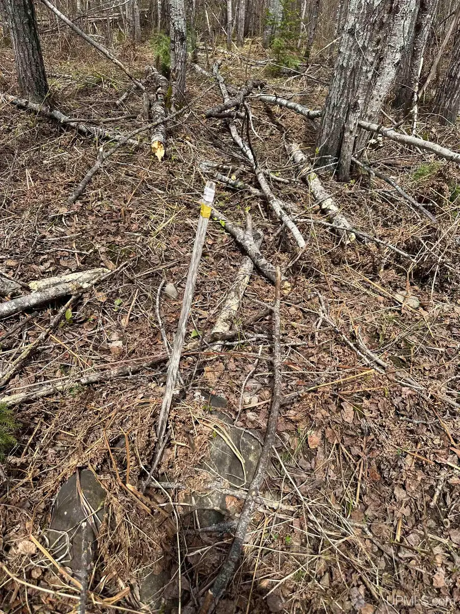 TBD Net River, Crystal Falls, MI 49920 - #3