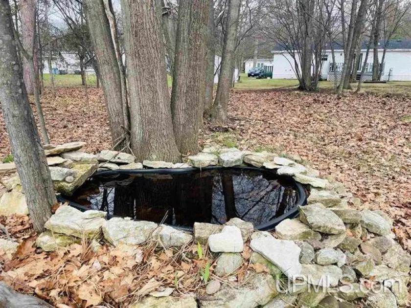 155 29th Lot 96, Gladstone, MI 49837 - #3