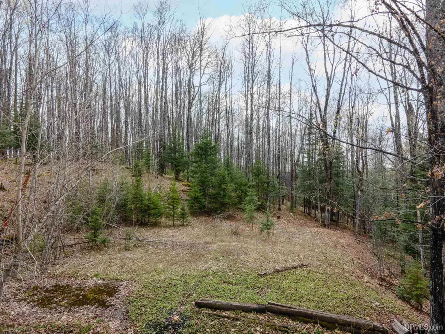 Lot 37 Sleepy Hollow, Iron River, MI 49935 - #2