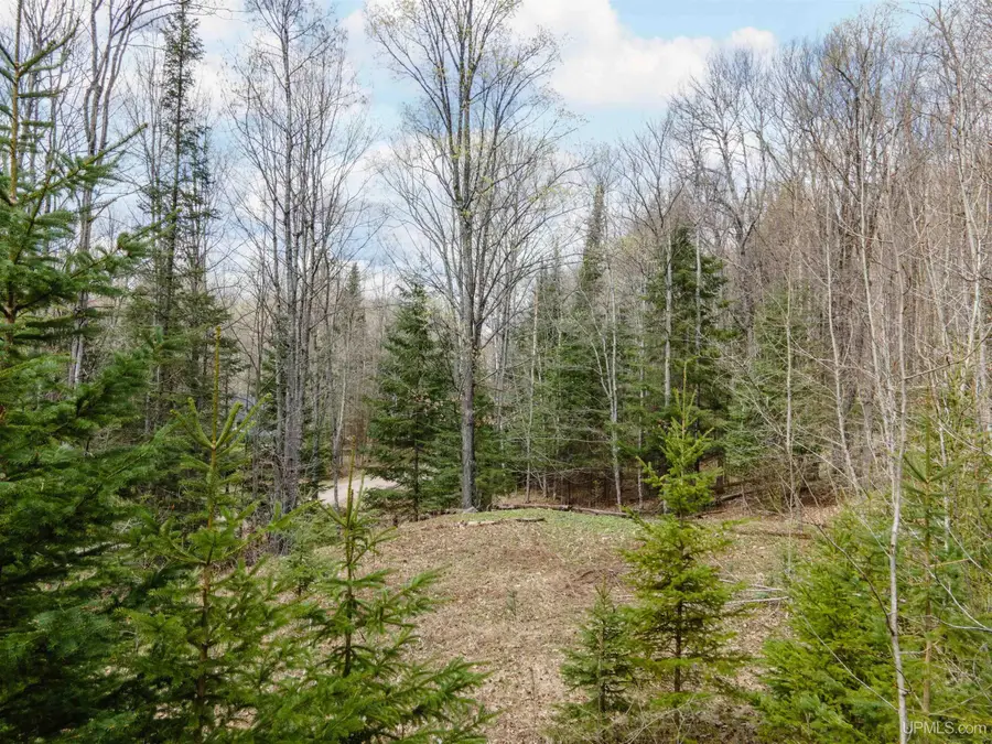 Lot 37 Sleepy Hollow, Iron River, MI 49935 - #3