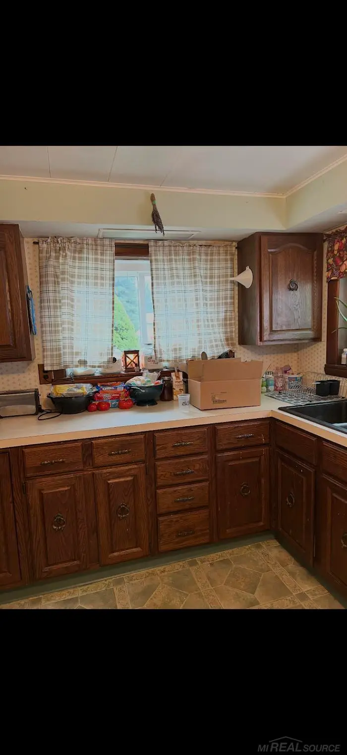 259 N Morey, Lake City, MI 49651 - #2