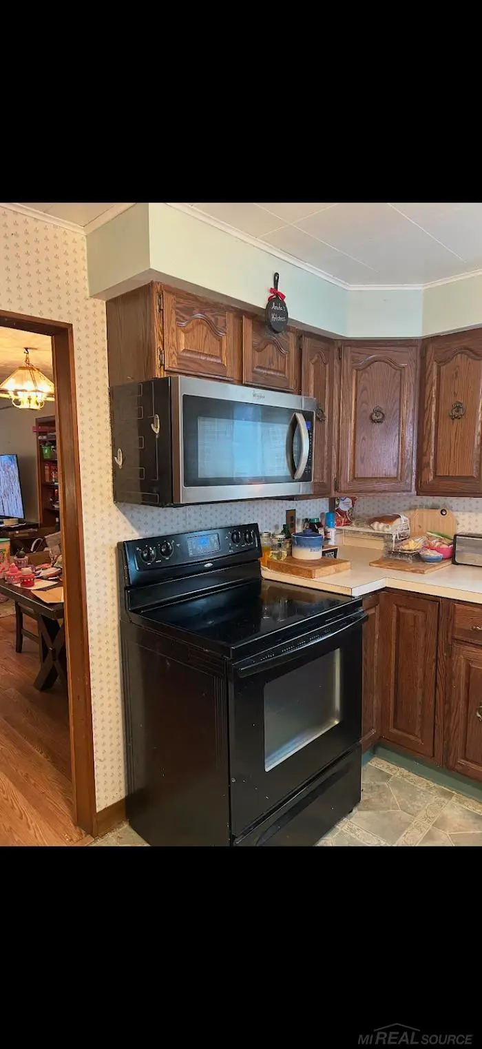 259 N Morey, Lake City, MI 49651 - #3