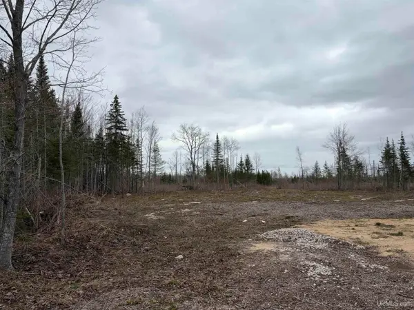 TBD Cooper Rd, Gulliver, MI 49840