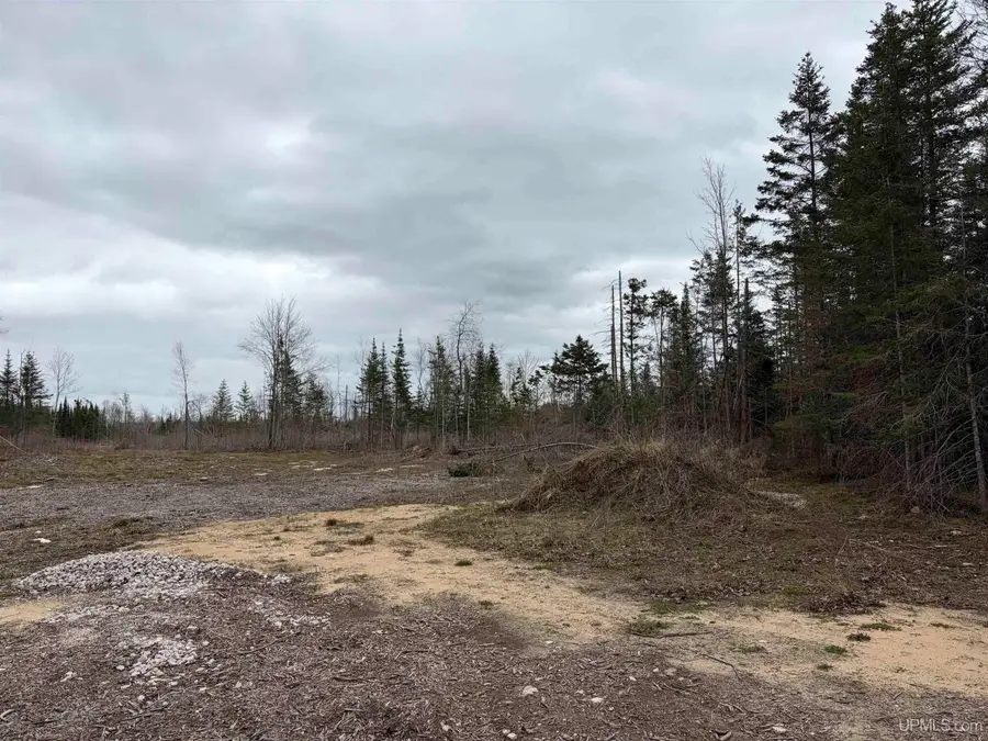 TBD Cooper Rd, Gulliver, MI 49840 - #2
