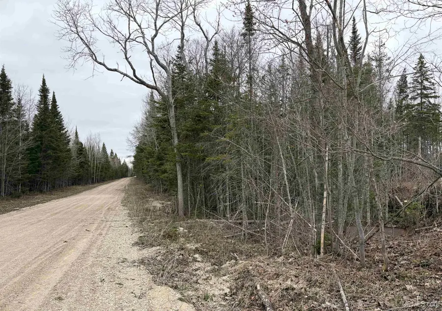 TBD Cooper Rd, Gulliver, MI 49840 - #3