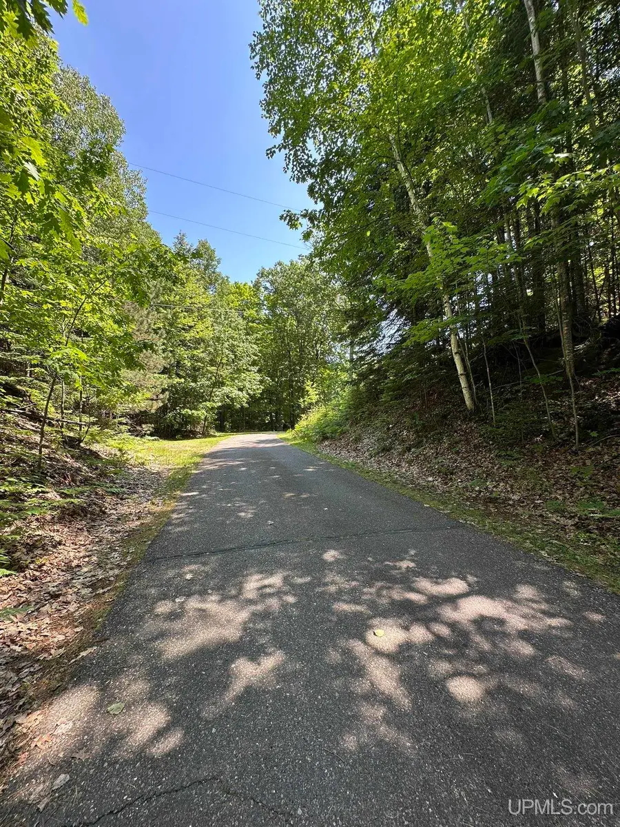 1111 W Little Shag Lake, Gwinn, MI 49841 - #3
