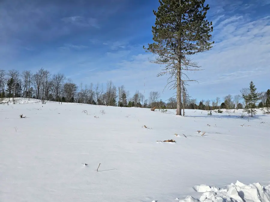 tbd 75.5 Acres Off Co Rd Cf, Ishpeming, MI 49849 - #2