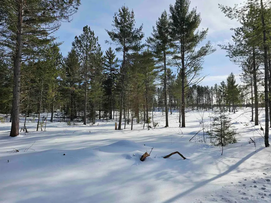 tbd 80 Acres Off Co Rd Cf, Ishpeming, MI 49849 - #2