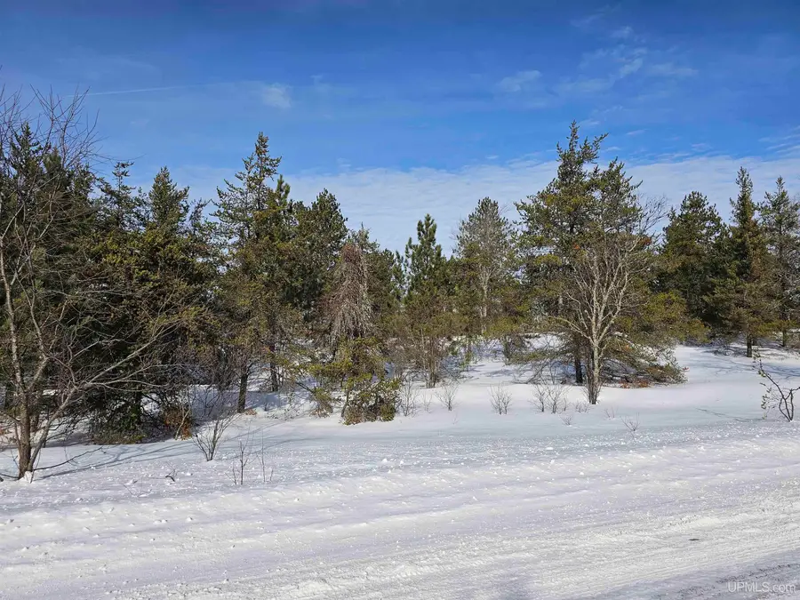 tbd 80 Acres Off Co Rd Cf, Ishpeming, MI 49849 - #3