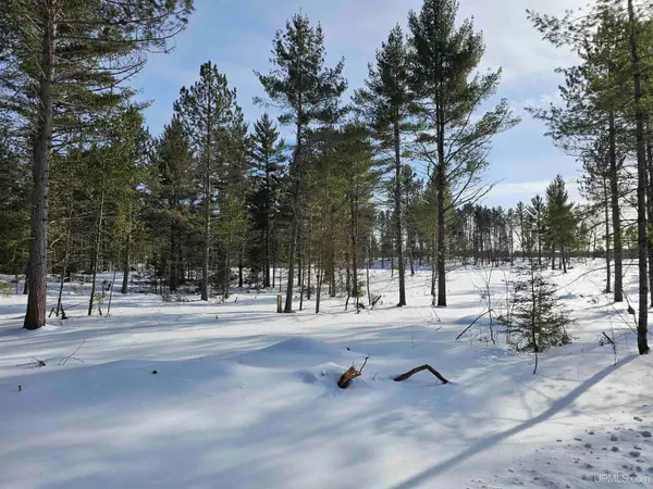 tbd 220 Acres Off Co Rd Cf, Ishpeming, MI 49849