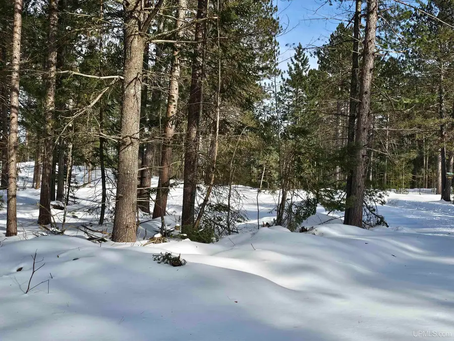 tbd 220 Acres Off Co Rd Cf, Ishpeming, MI 49849 - #2