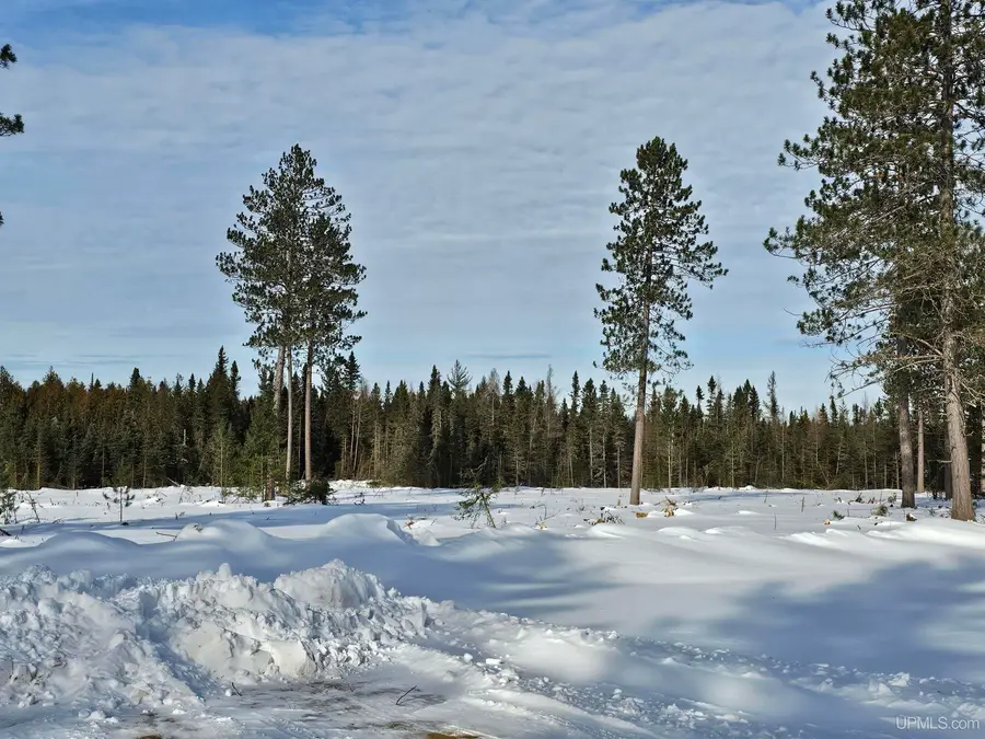 tbd 220 Acres Off Co Rd Cf, Ishpeming, MI 49849 - #3