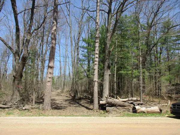 007-019-300-12 Clarence Rd, Harrison, MI 48625