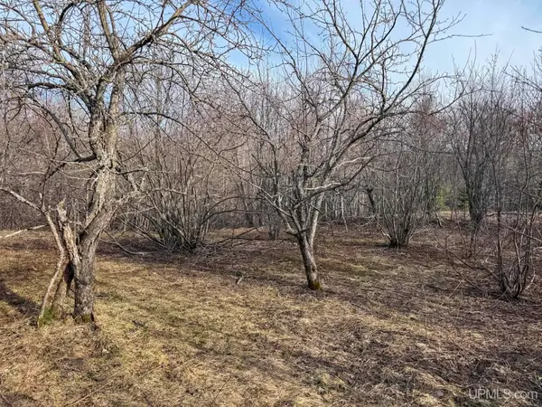Lot D Mohawk Gay, Mohawk, MI 49950