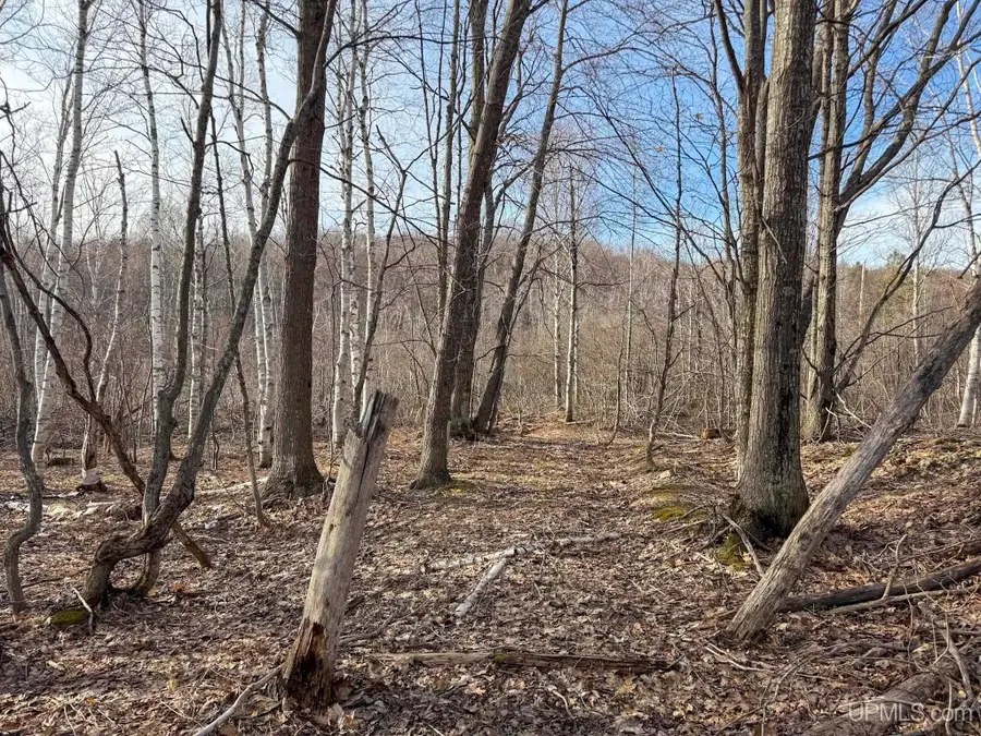 Lot D Mohawk Gay, Mohawk, MI 49950 - #3