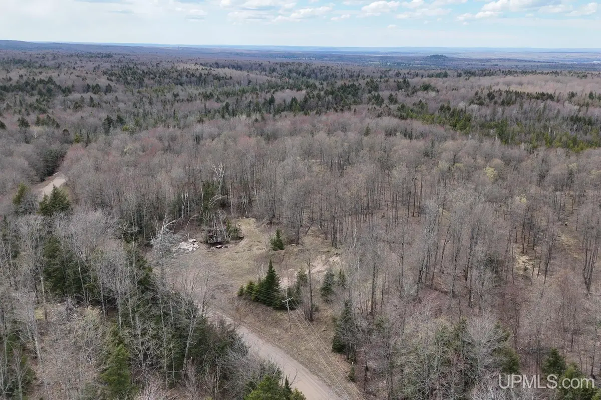 TBDNE Dogpatch, Lanse, MI 49946 - #1