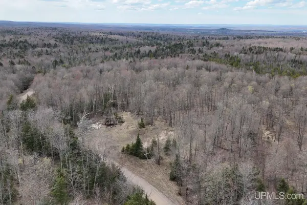 TBDNE Dogpatch, L'Anse, MI 49946