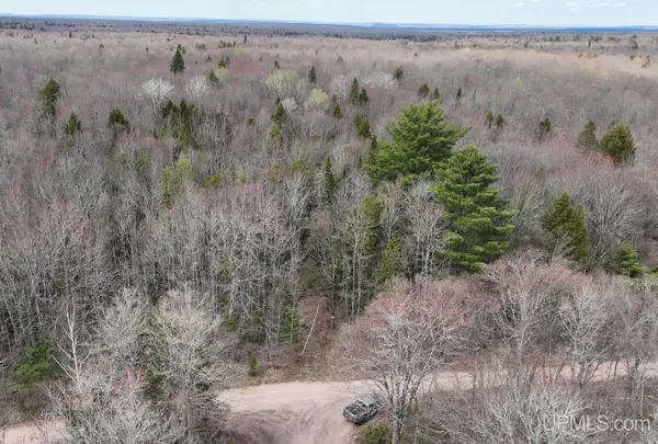 9693 N Light Blue, Pelkie, MI 49958
