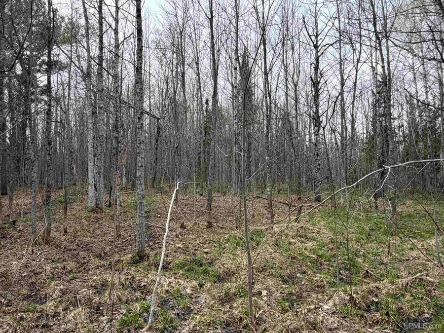 TBD10 off US45 Rockland, Rockland, MI 49953 - #3
