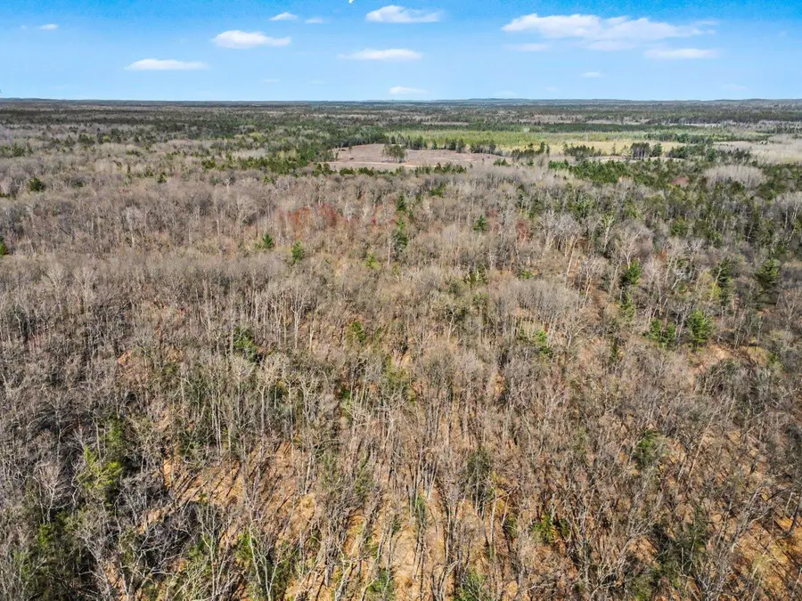 10.05 Ac Dowler, Houghton Lake, MI 48629 - #2