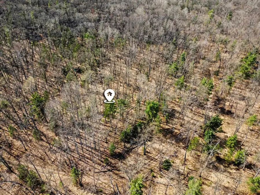 10.05 Ac Dowler, Houghton Lake, MI 48629 - #3
