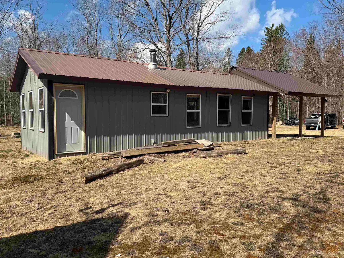 11445 N Chesbrough Lake, Newberry, MI 49868 - #1