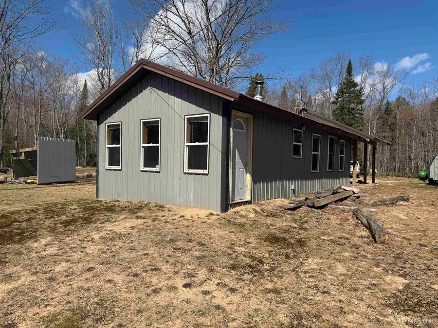11445 N Chesbrough Lake, Newberry, MI 49868 - #2