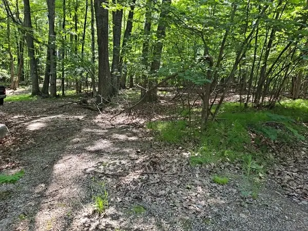 2145 Elkhorn Way, Farwell, MI 48622