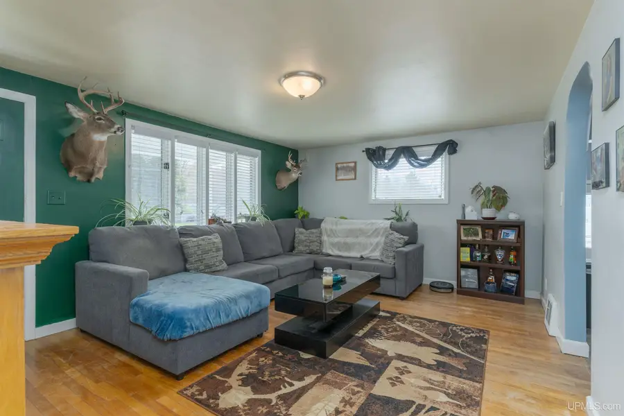725 W Ice Lake, Iron River, MI 49935 - #3