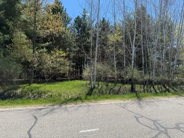 96 Salisbury, Gladwin, MI 48624 - #2