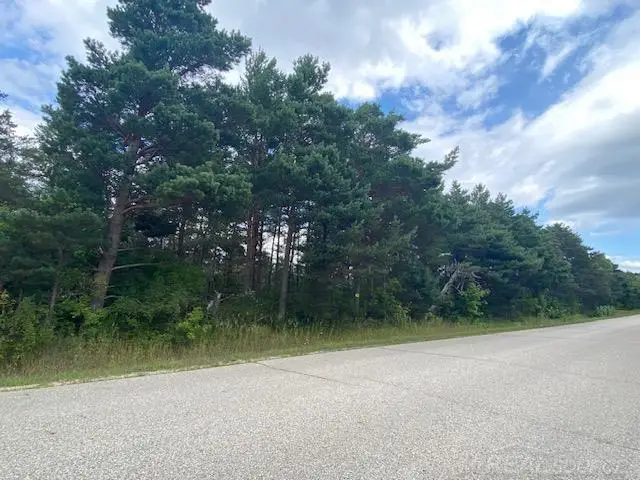 000 Elder. Lot A, Mancelona, MI 49659 - #3