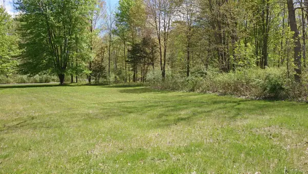 0 Arrowhead 1-a - Aka 15215 Mckeighan Road, Chesaning, MI 48616