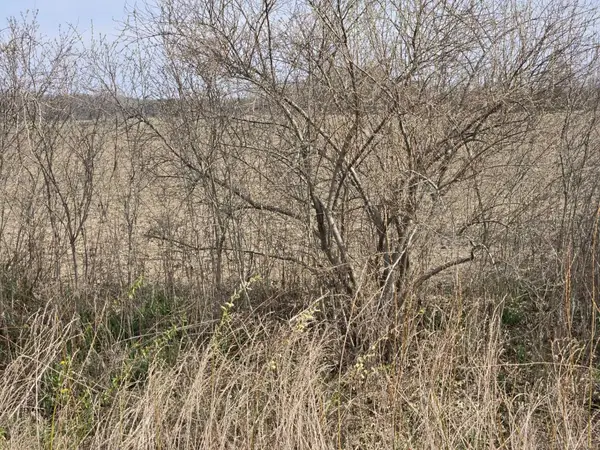 0 Weber (lot B), Richmond Twp, MI 48063