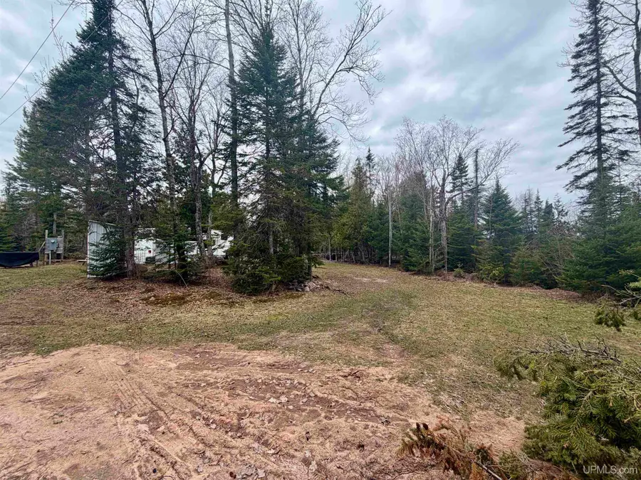 31807 Rice Lake, Lake Linden, MI 49945 - #2