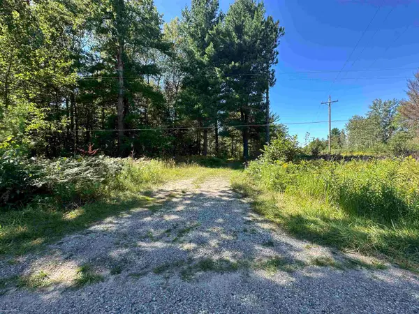 0 Long Lake, Hale, MI 48739