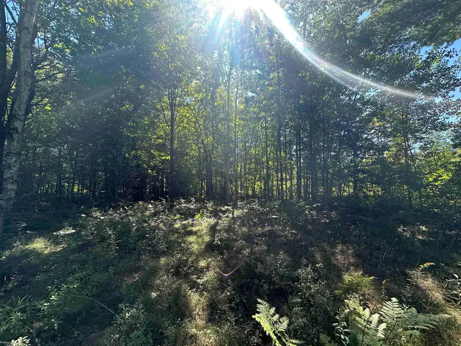 0 Long Lake, Hale, MI 48739 - #2