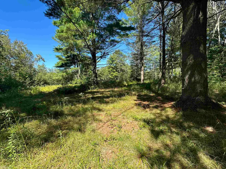 0 Long Lake, Hale, MI 48739 - #3