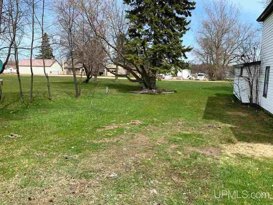10458 S Main, Rapid River, MI 49878 - #3