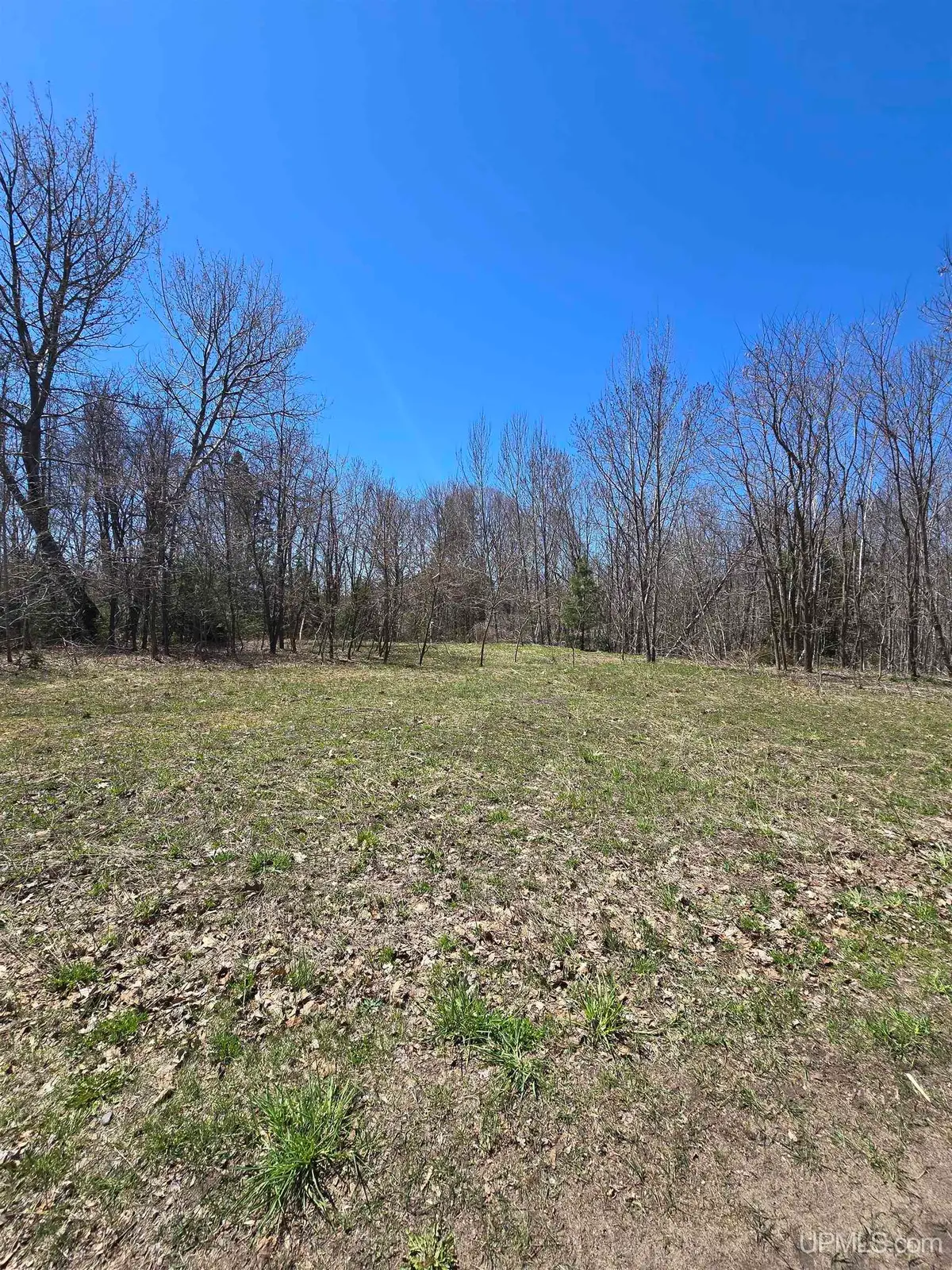 TBD Crestwood, Hancock, MI 49930 - #1