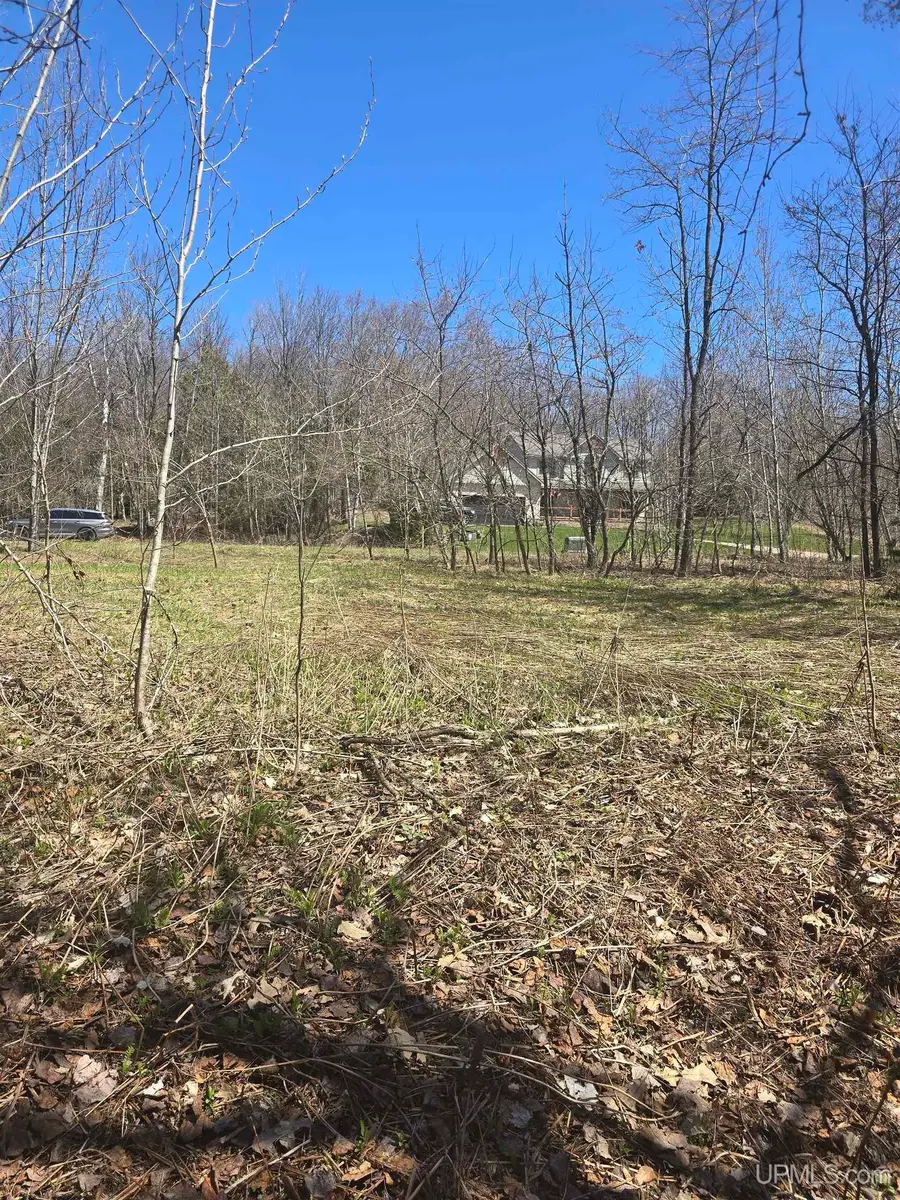 TBD Crestwood, Hancock, MI 49930 - #2