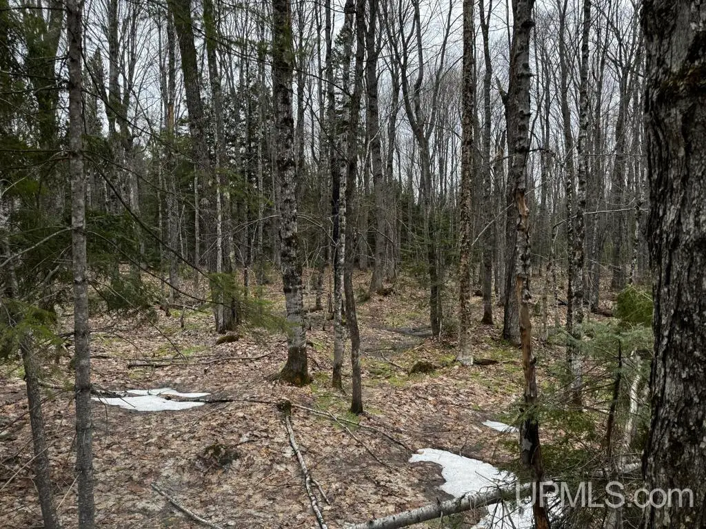 TBD Motley, Nisula, MI 49952 - #1