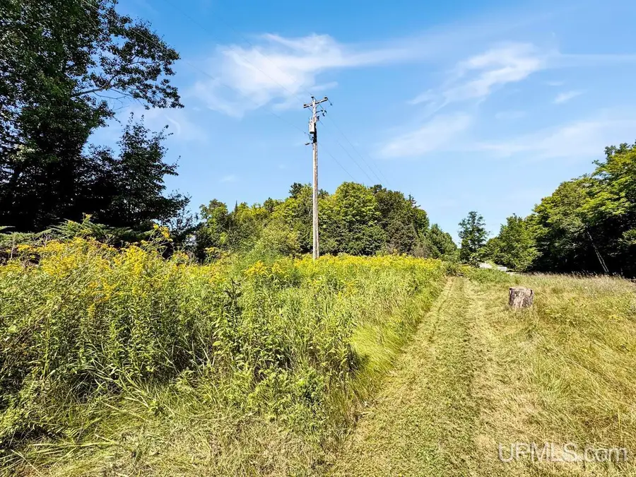 110 Old Us 141, Crystal Falls, MI 49920 - #3