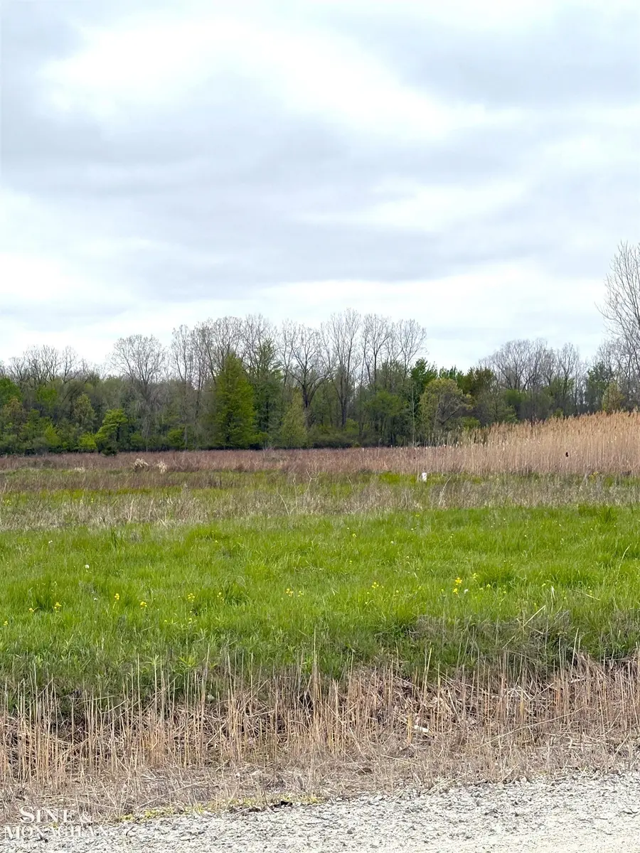 Vacant Hessen, Columbus, MI 48063 - #3
