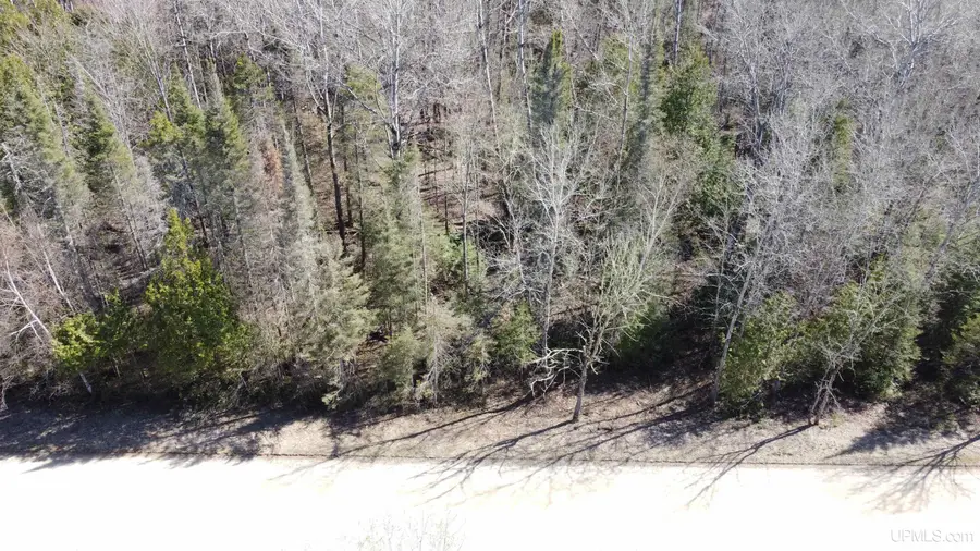 TBD E Cold Springs, Chatham, MI 49816 - #3
