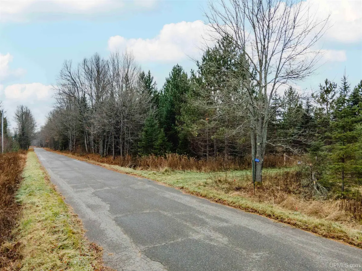 200 Olson Loop, Iron River, MI 49935 - #1