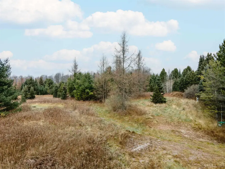 200 Olson Loop, Iron River, MI 49935 - #3