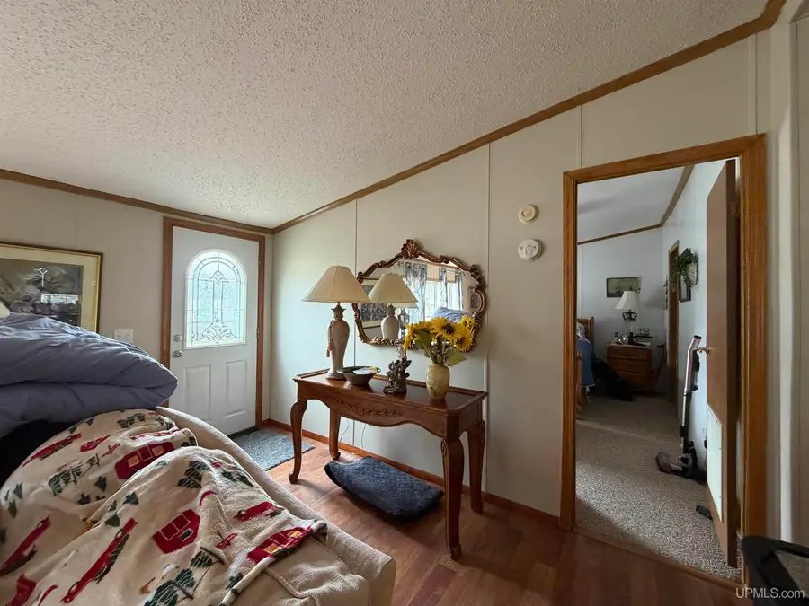 E9716 Old Indiantown, Munising, MI 49895 - #3