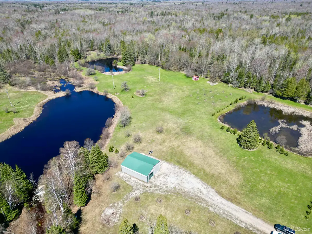 16498 Timber Ln, Rock, MI 49880 - #1