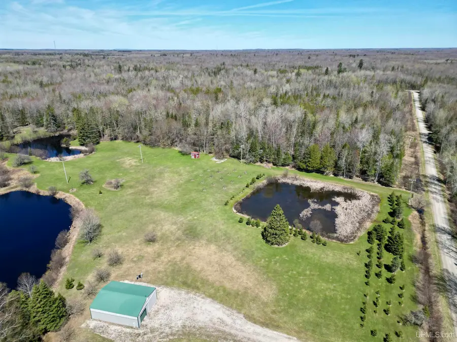 16498 Timber Ln, Rock, MI 49880 - #3